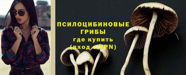 мяу мяу мука Алзамай